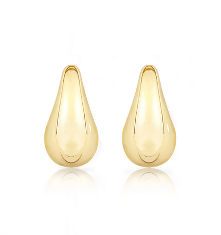 Drop Earrings