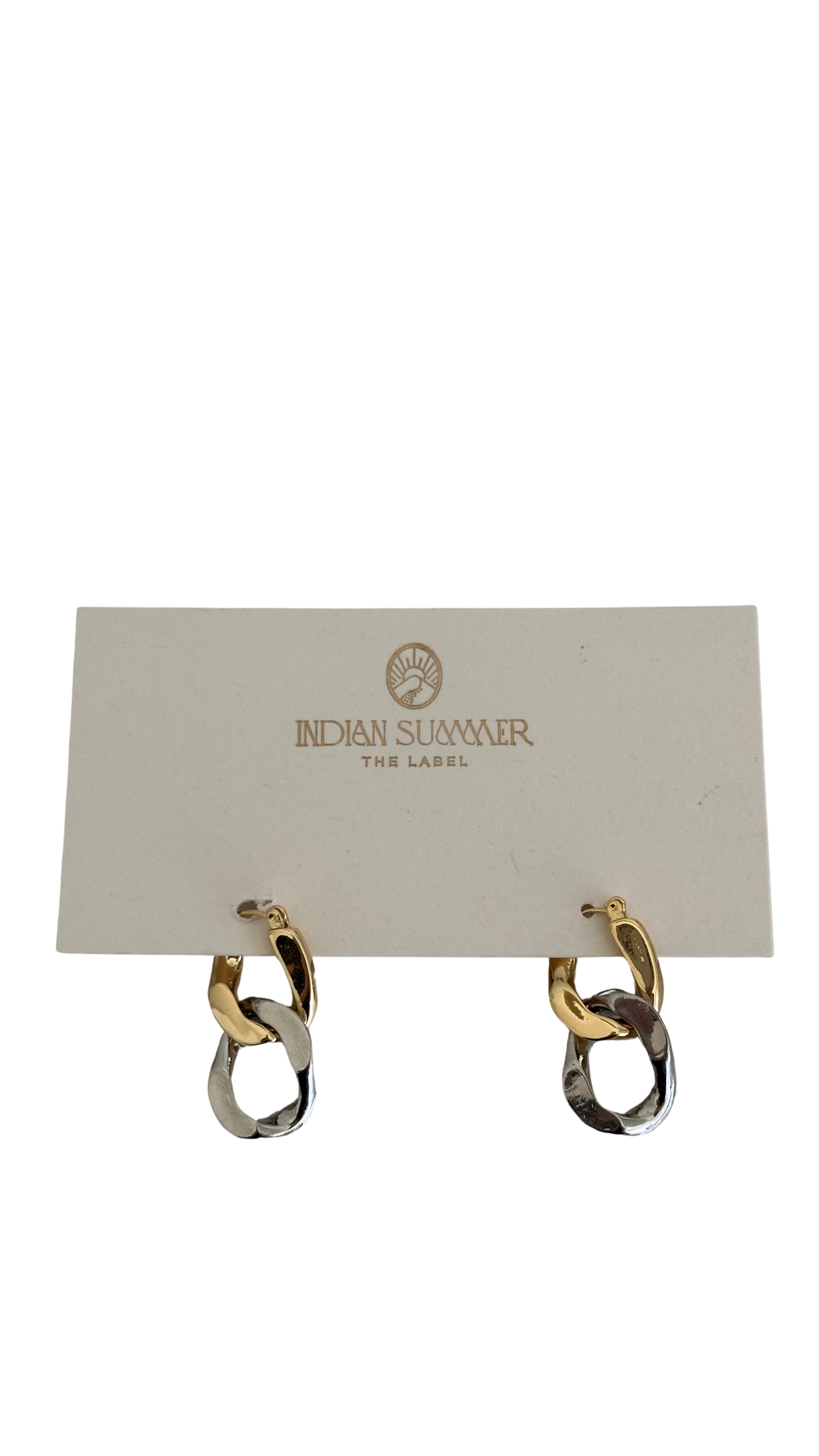 Two toned link Earrings